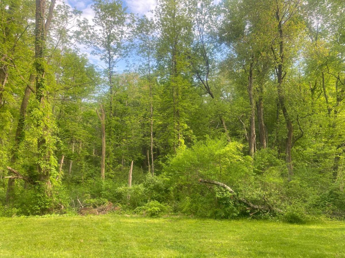 Newly Renovated 3Br Hudson Valley House Ulster Park Exteriör bild